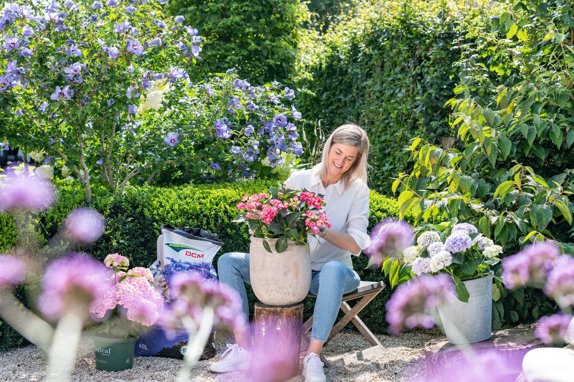Sadnja rododendrona i acidofilnih biljaka u organski DCM supstrat