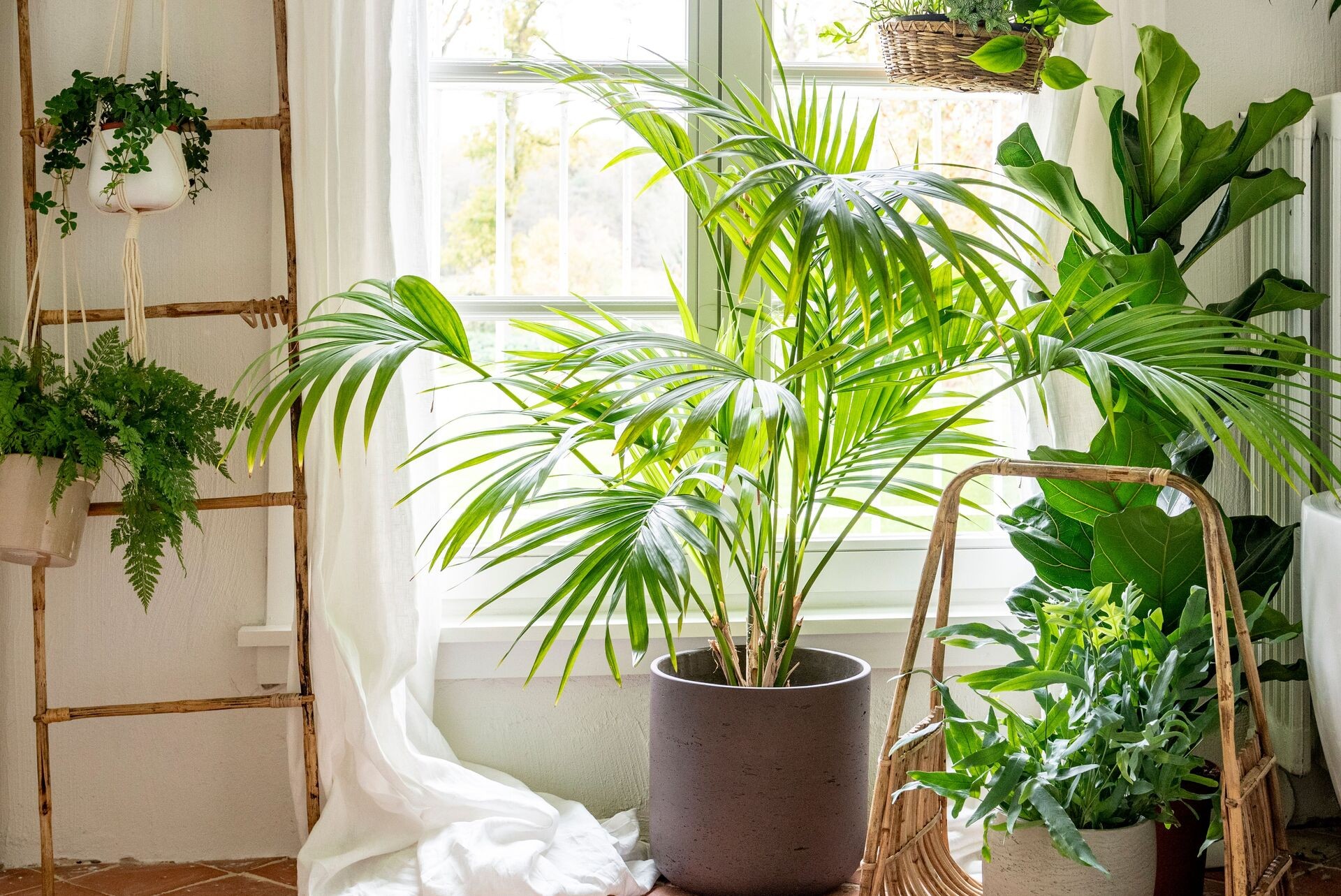 Sobno cveće u saksijama uz prozor