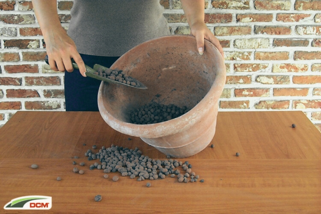 DCM hidro granule – drenažni sloj u saksiji