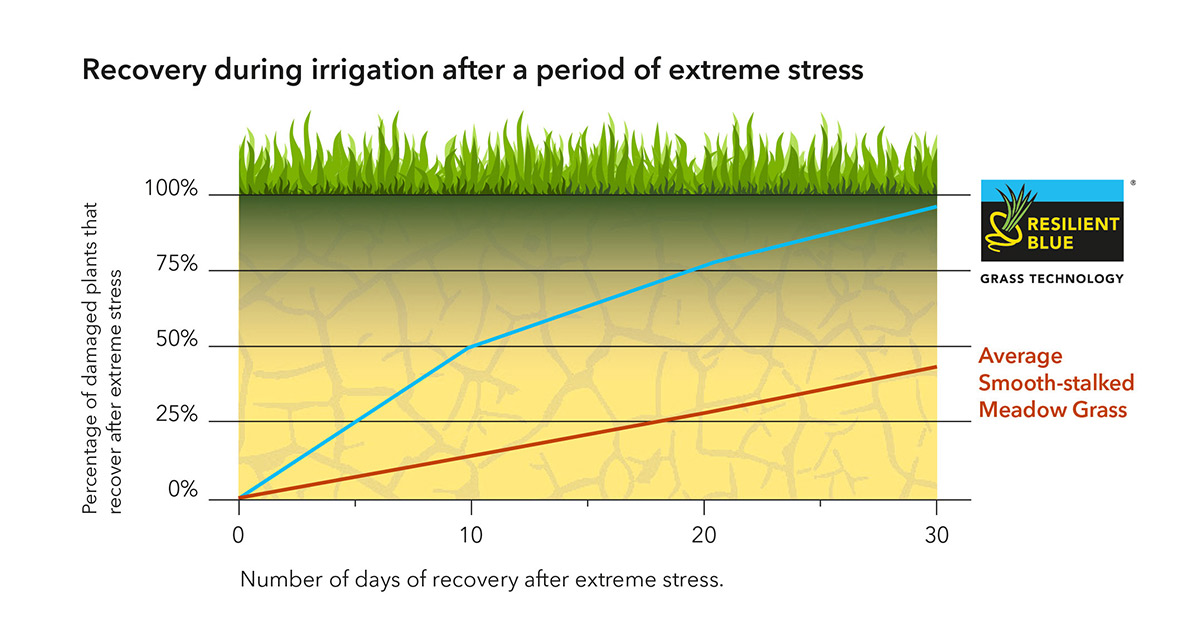 Resilient Blue® – Brzina oporavka nakon stresa