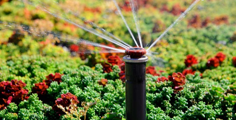 MP Rotator dizna u radu – višestruki rotirajući mlazovi za precizno navodnjavanje