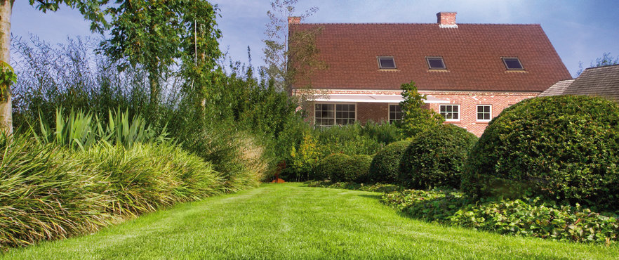 RPR® – dekorativni i gust travnjak u dvorištu