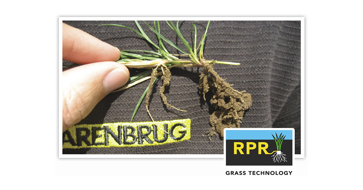 RPR Sport – regeneracija i stoloni