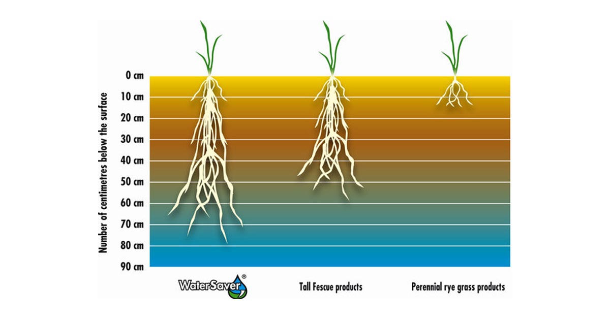 Water Saver® – duboko ukorenavanje