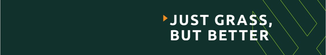 AGN Grass - Just grass, but better