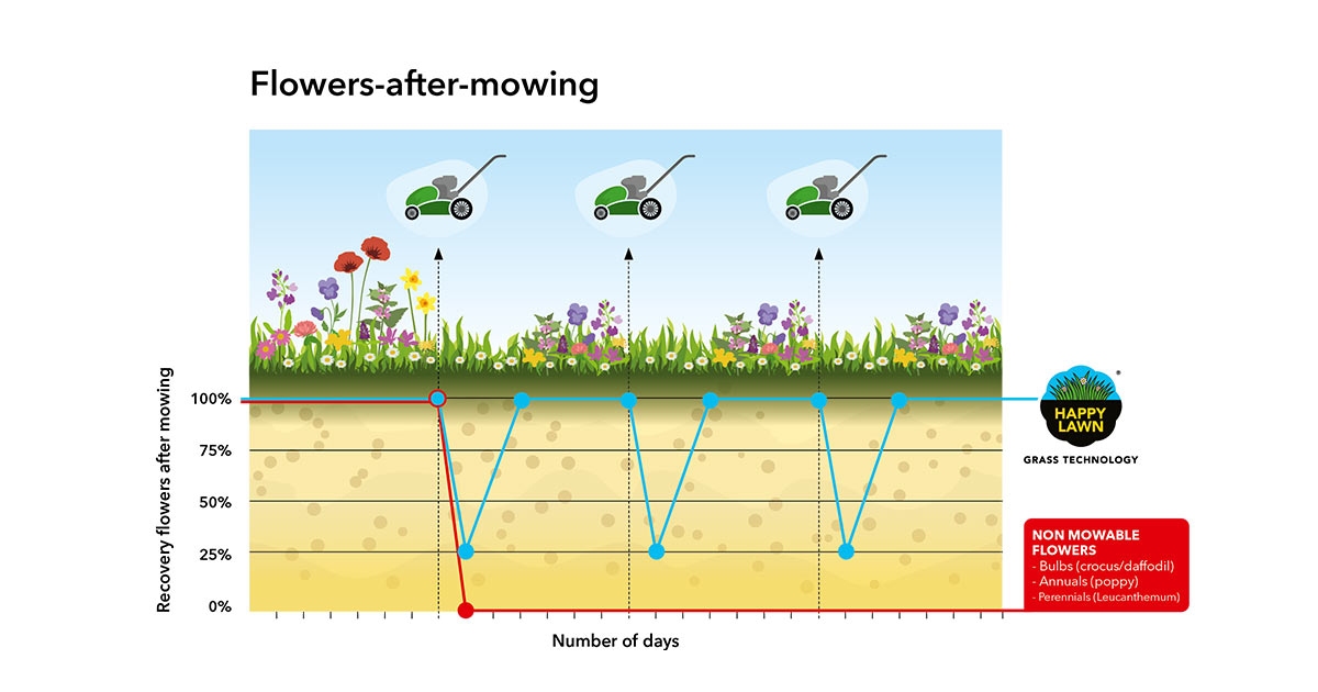 Happy Lawn® – oporavak cvetova nakon košenja