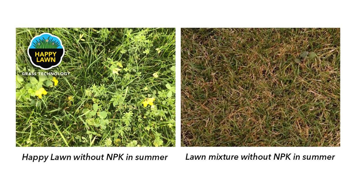 Happy Lawn® – poređenje otpornosti na sušu i bez đubrenja