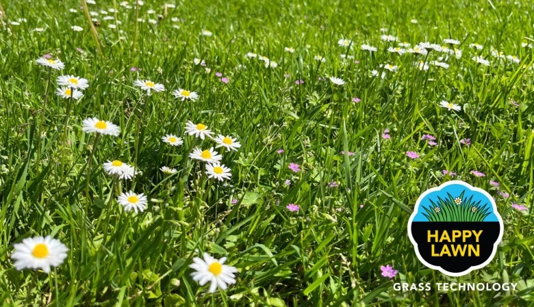 Happy Lawn® – izdržljiv i šaren travnjak sa cvetovima