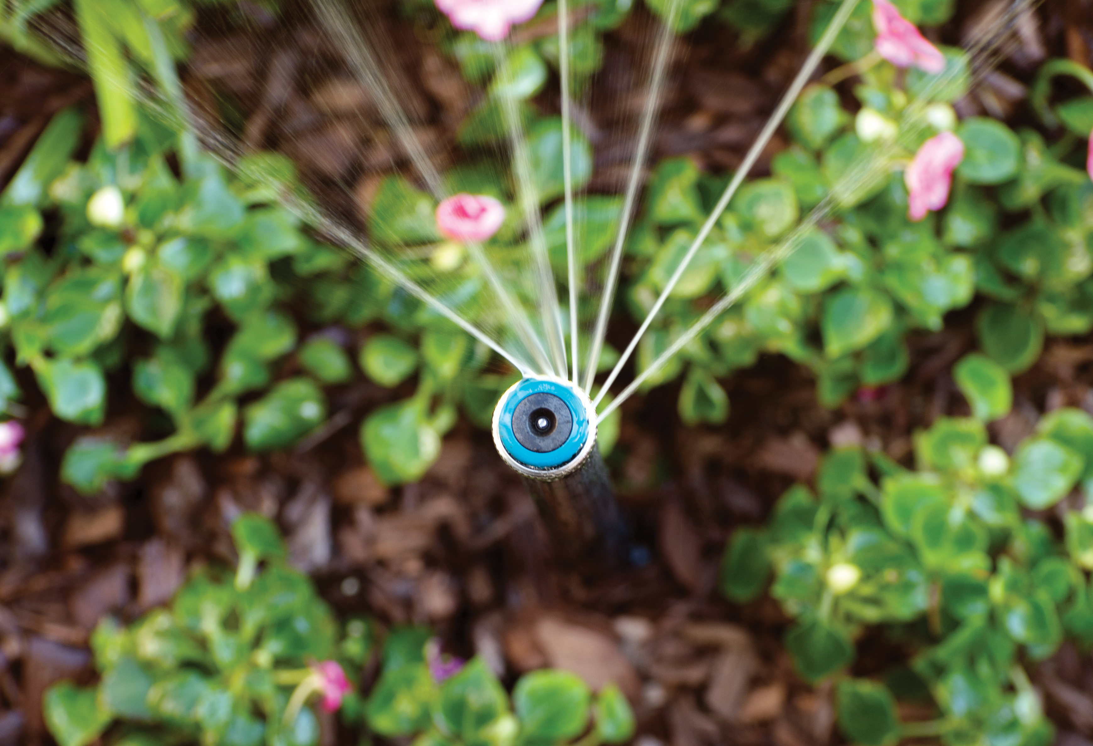 MP Rotator ugaona dizna – precizno zalivanje uglova i traka