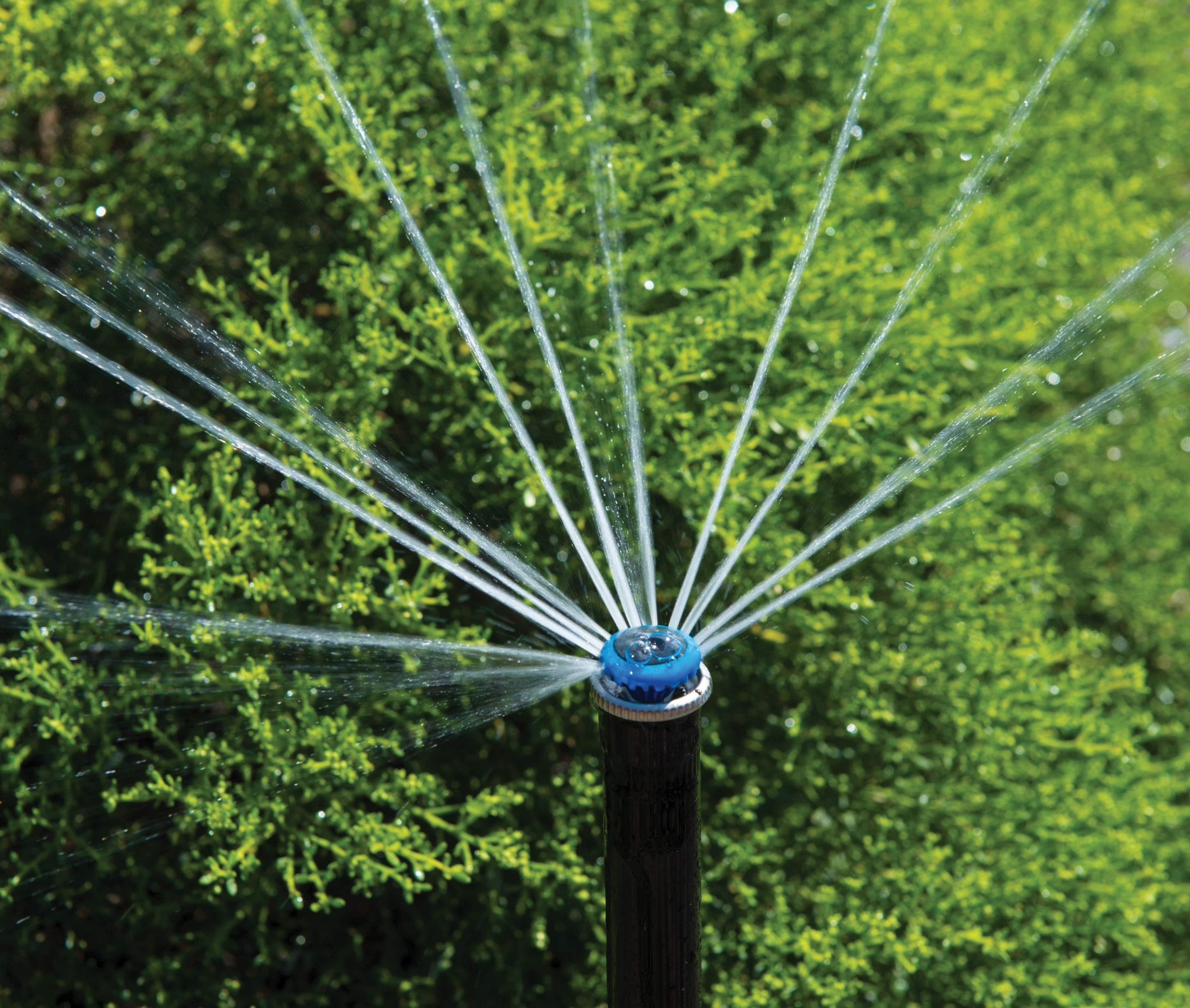 MP Rotator standard dizna u radu – detalj