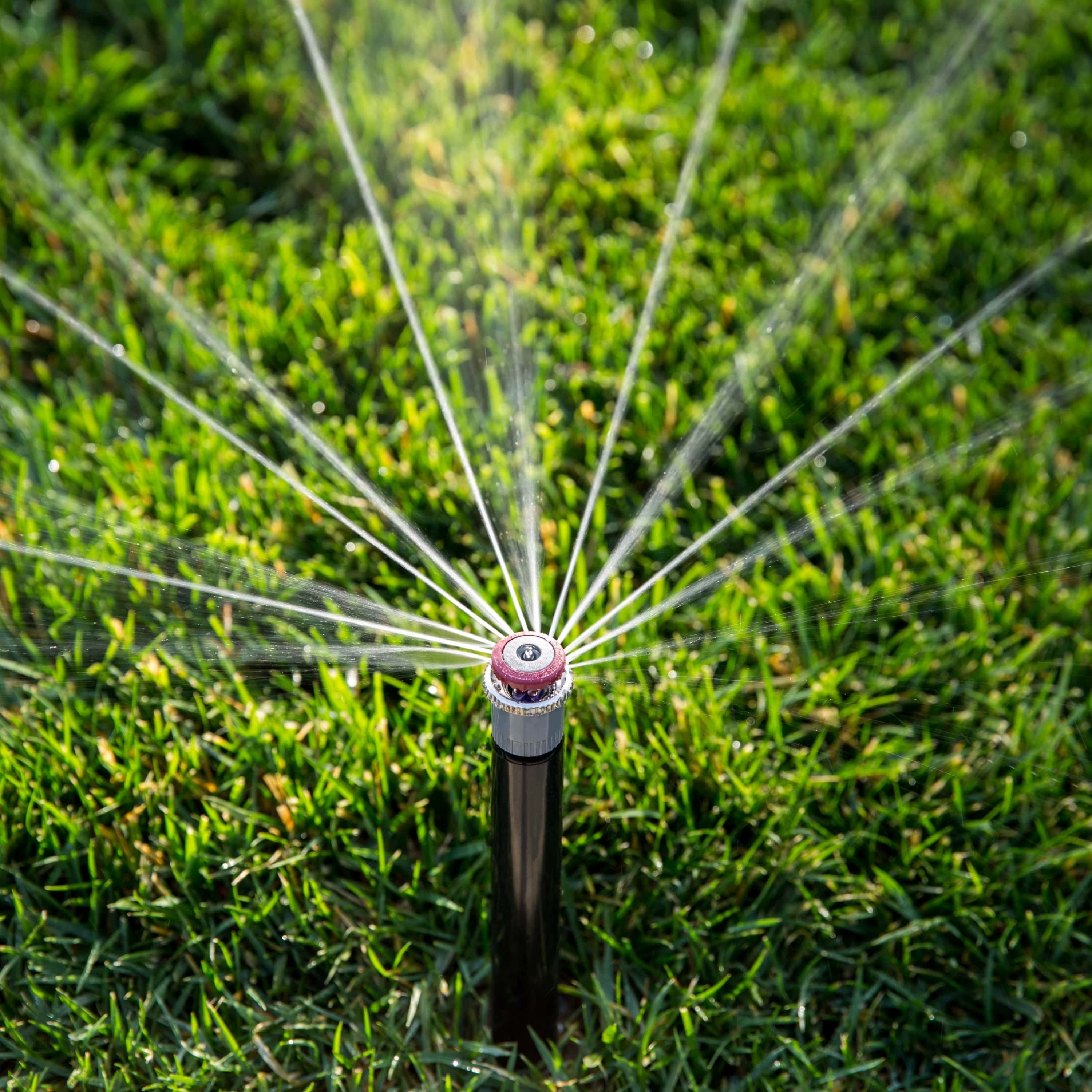 MP Rotator 800 dizna u radu – pogled sa strane