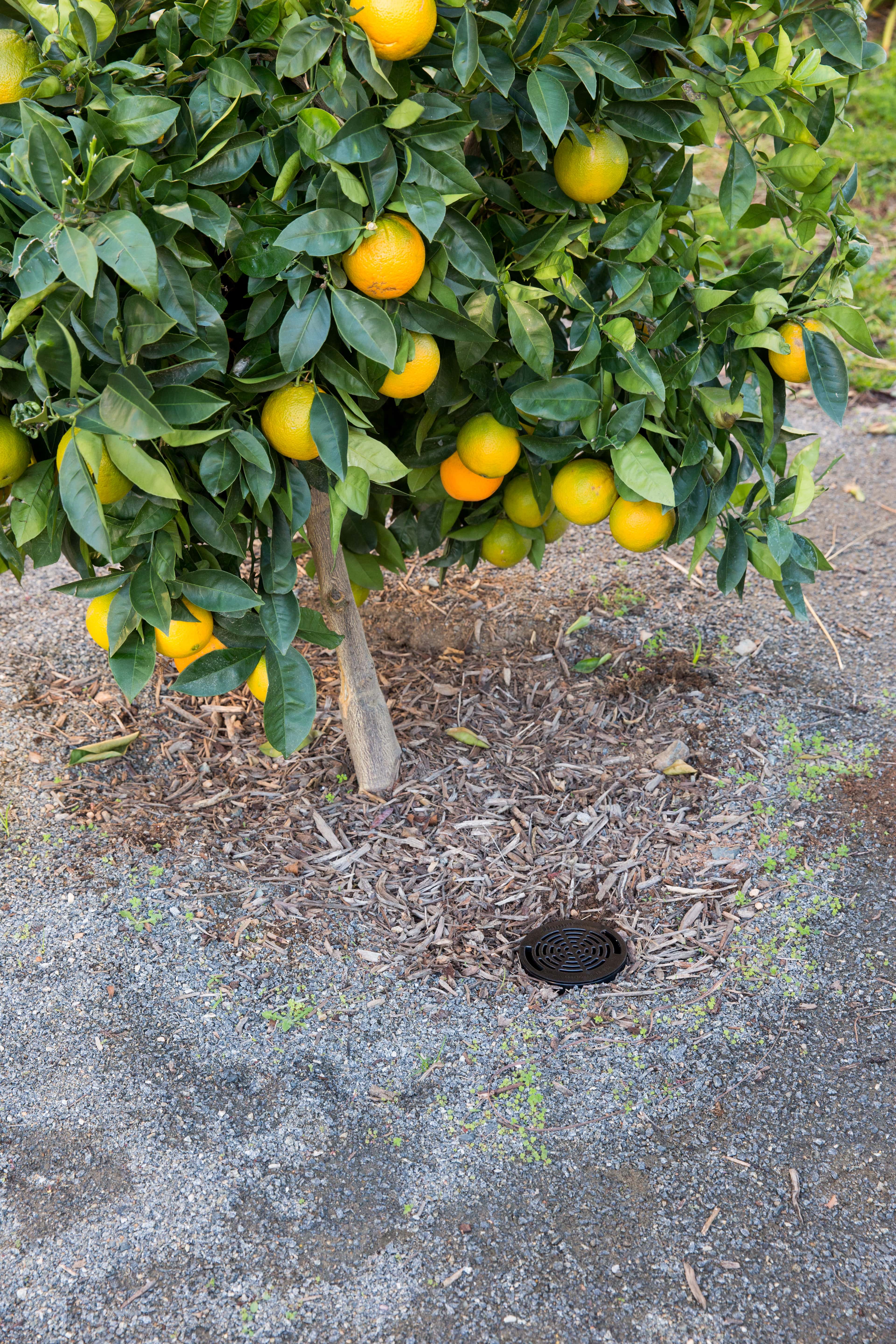 RZWS-18-25 sistem u radu - desno