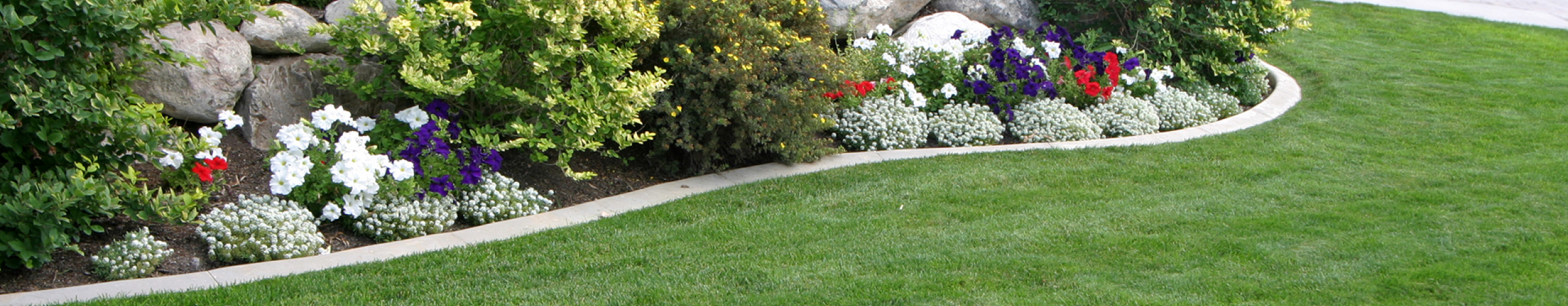 Barenbrug Solide travnjak uz cvetnu leju